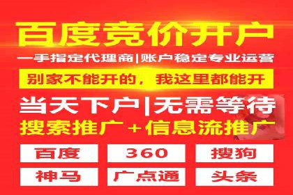 成功案例：sem竞价托管的智慧与策略